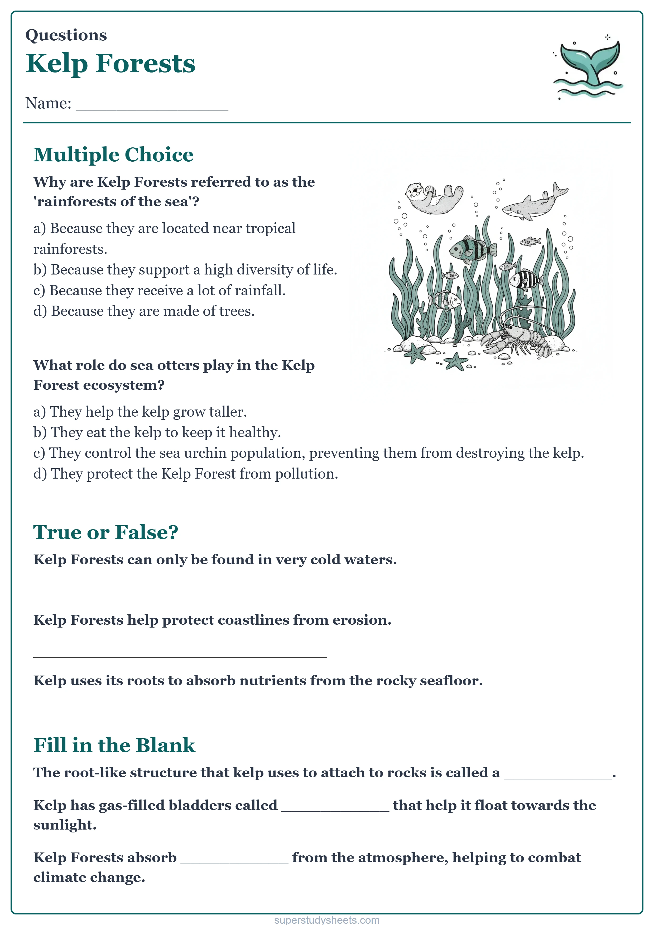 Printable Kelp Forests questions worksheet – Challenge level