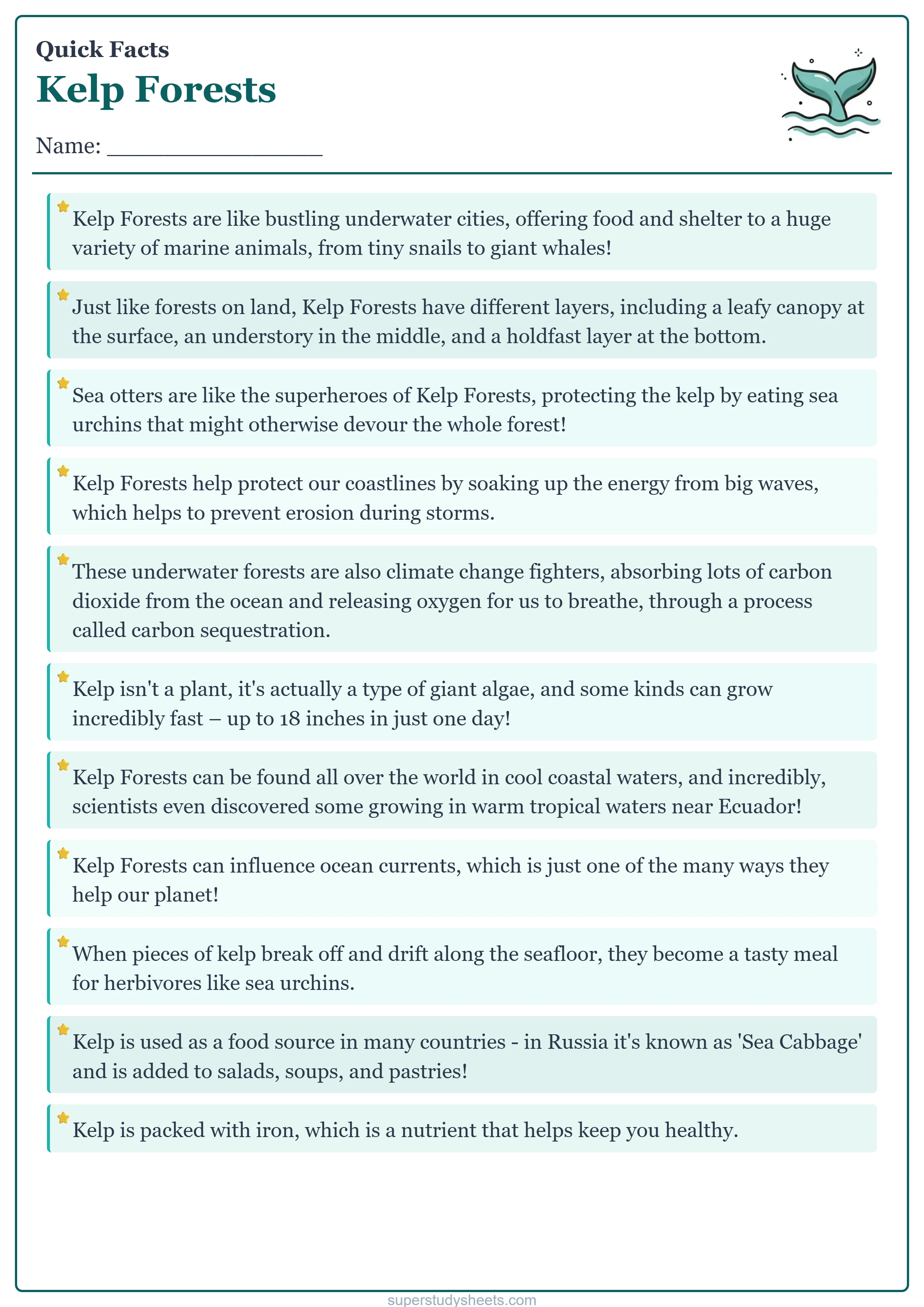 Printable Kelp Forests quick facts worksheet – Challenge level