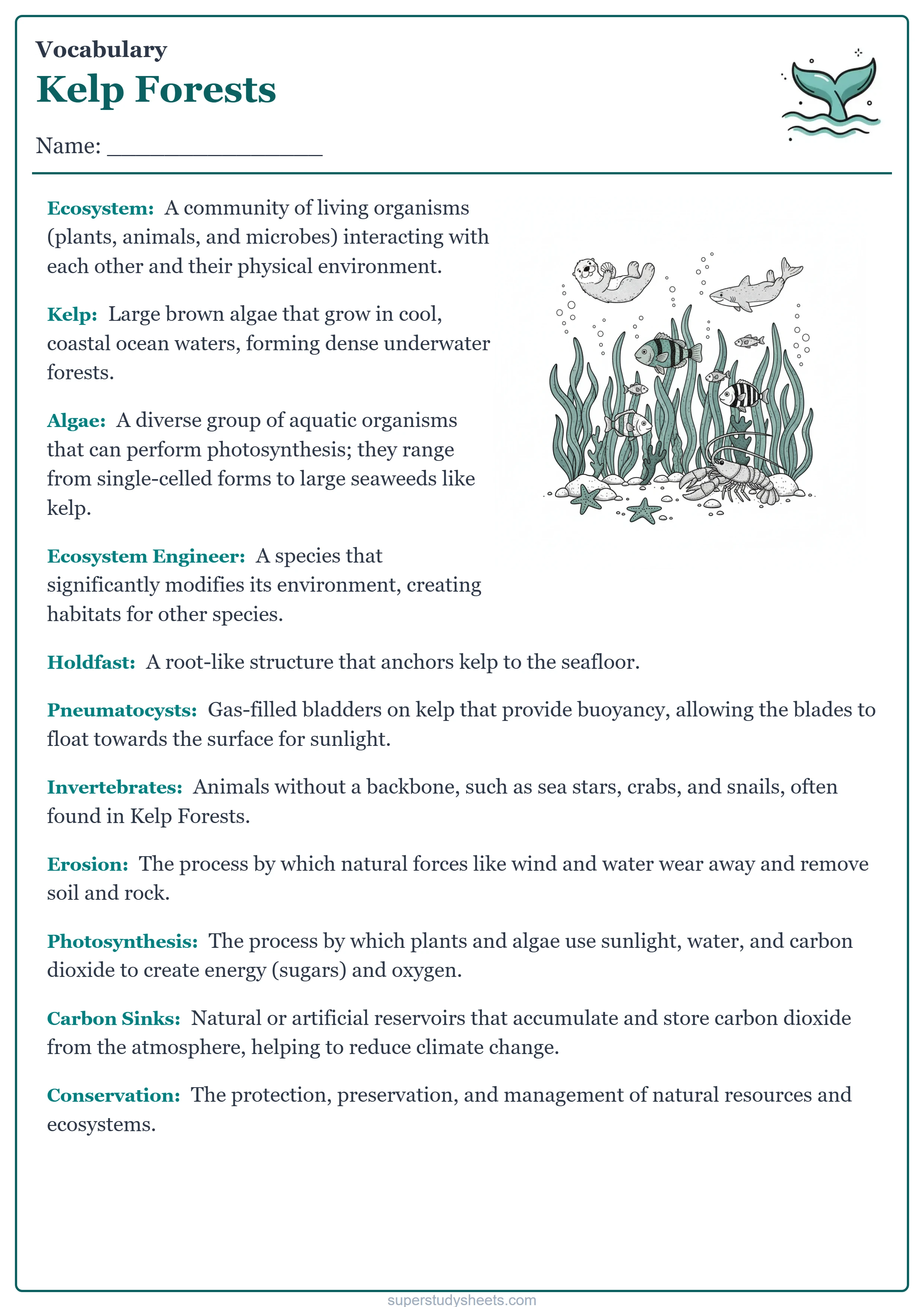 Printable Kelp Forests vocabulary worksheet – Challenge level