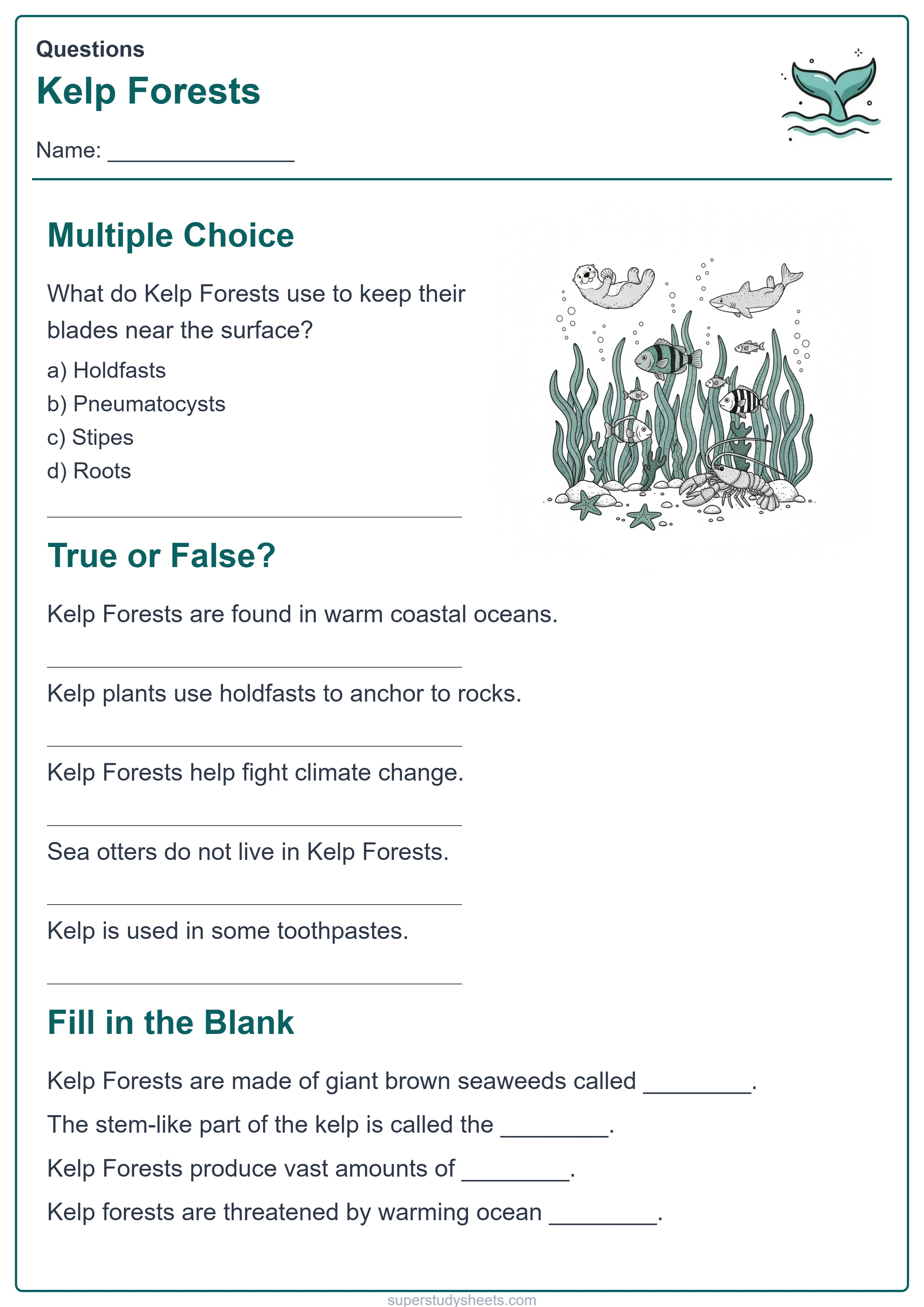 Printable Kelp Forests questions worksheet – Explore level