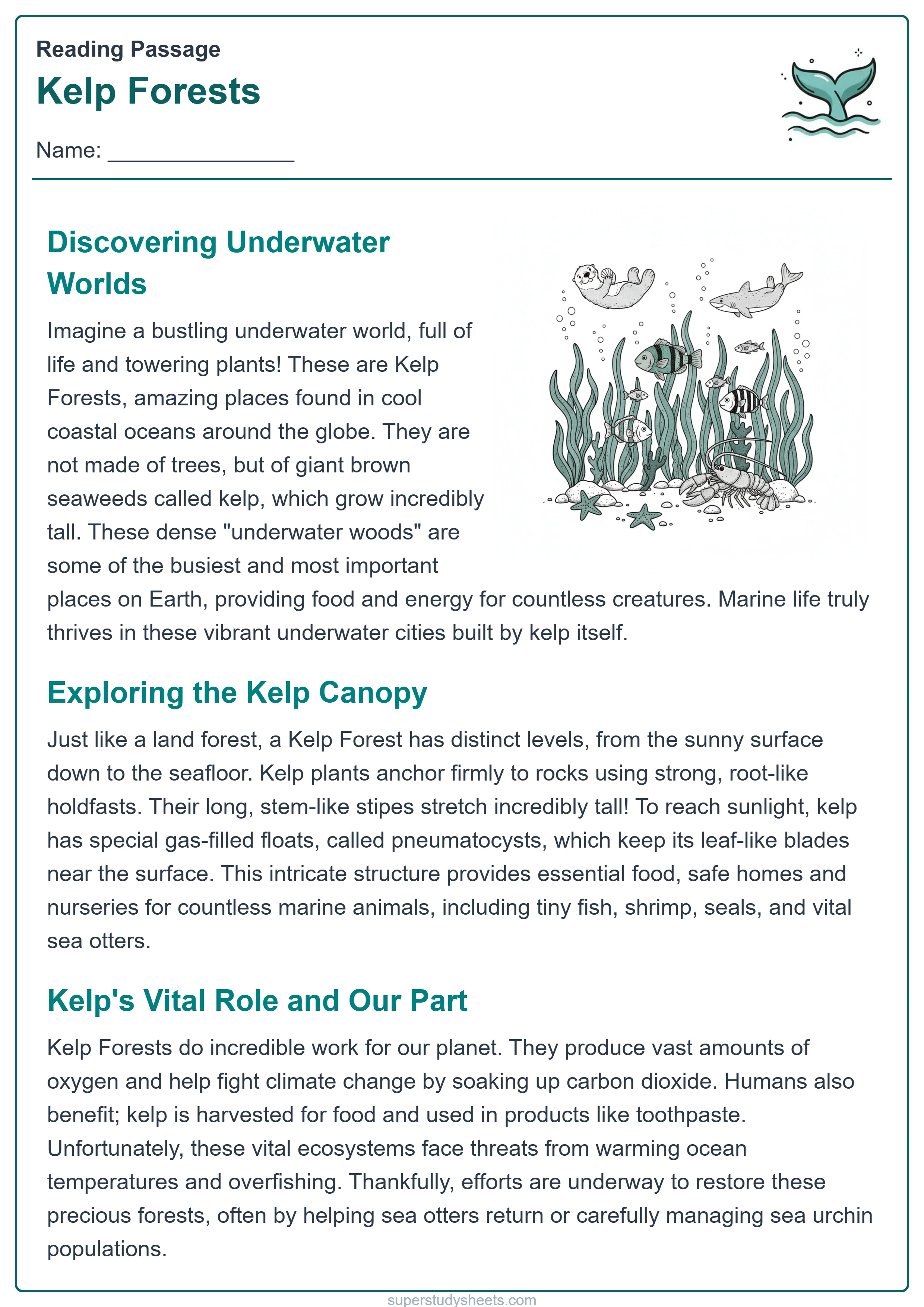 Printable Kelp Forests reading worksheet – Explore level