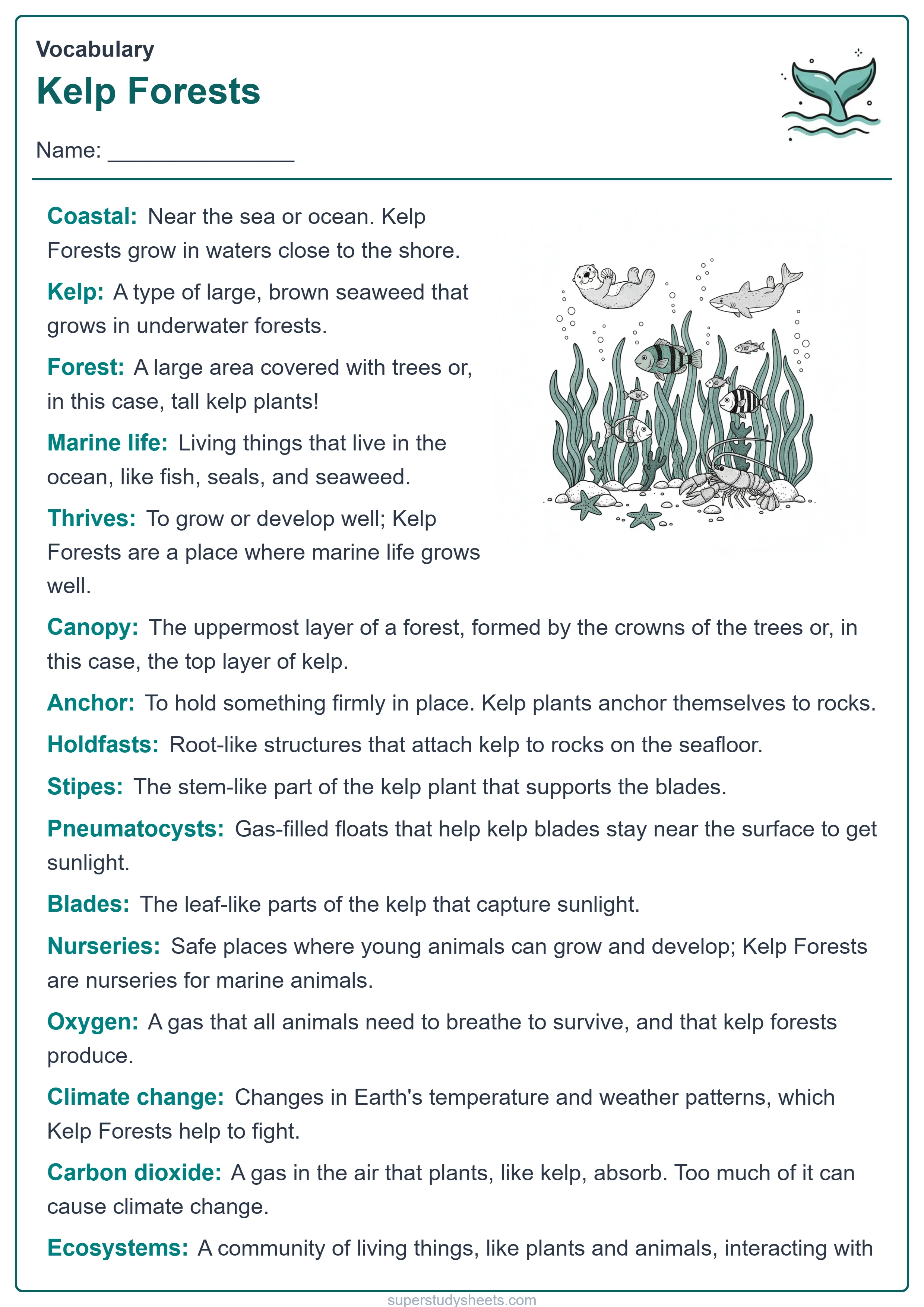 Printable Kelp Forests vocabulary worksheet – Explore level