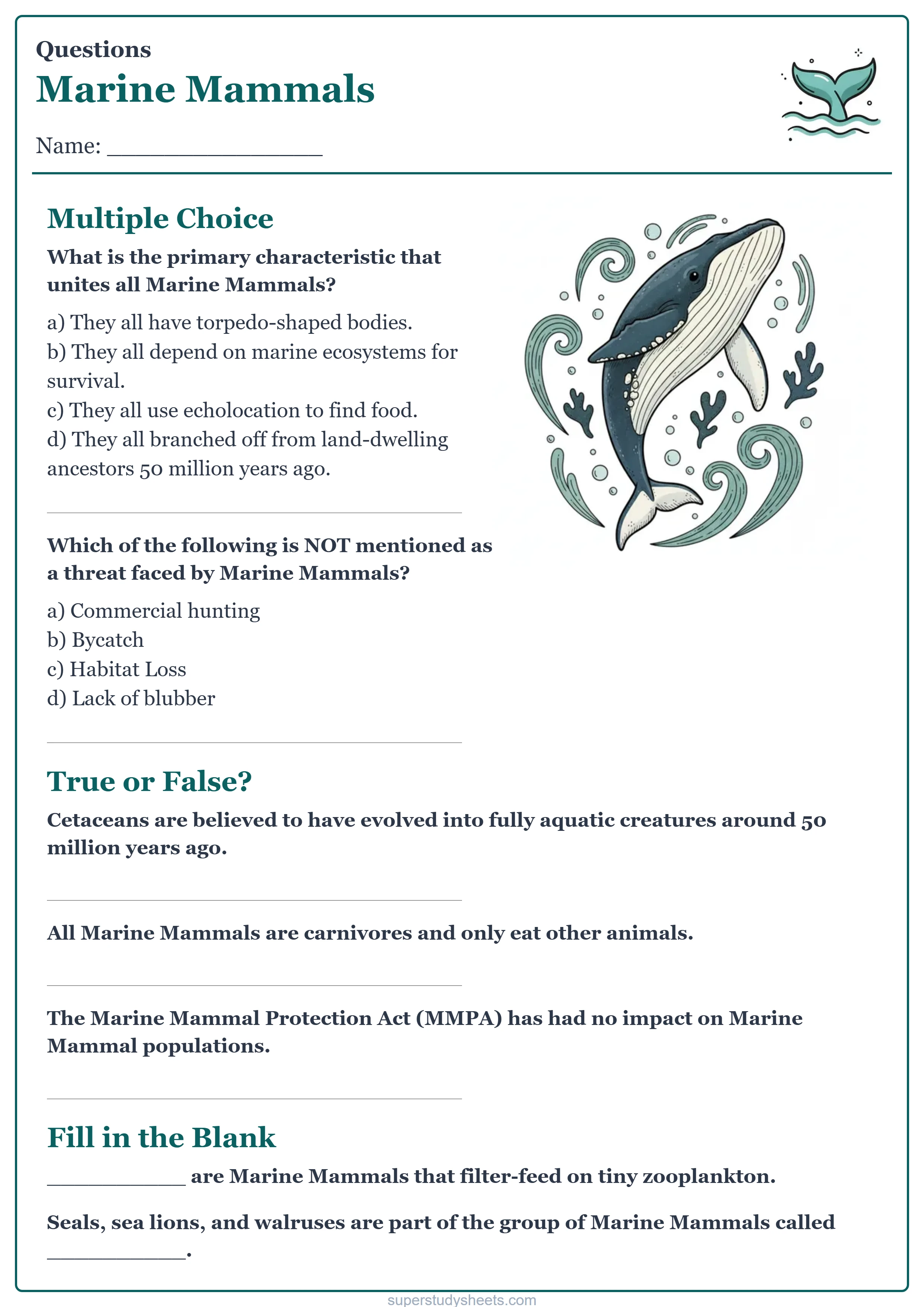 Printable Marine Mammals questions worksheet – Challenge level