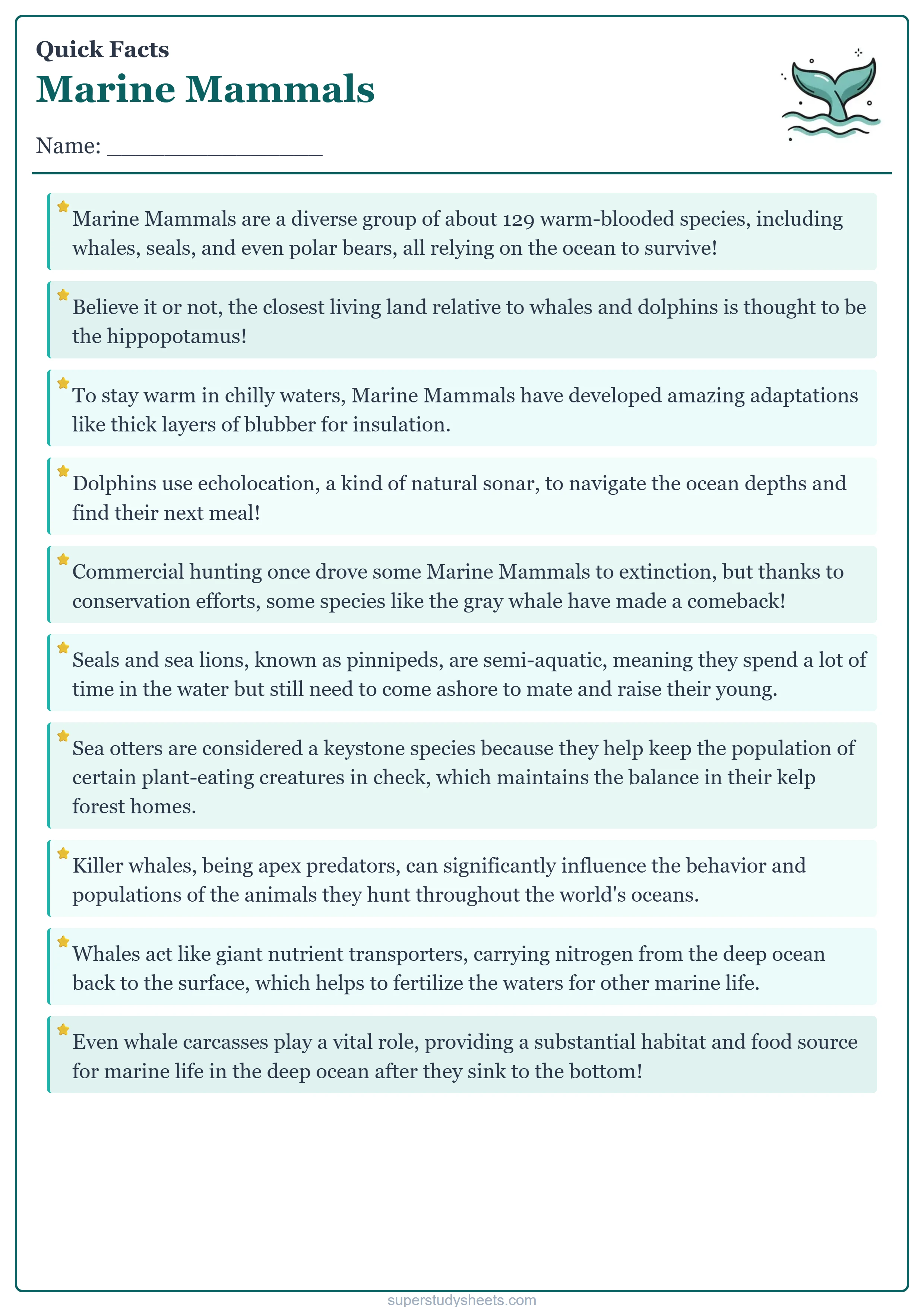 Printable Marine Mammals quick facts worksheet – Challenge level