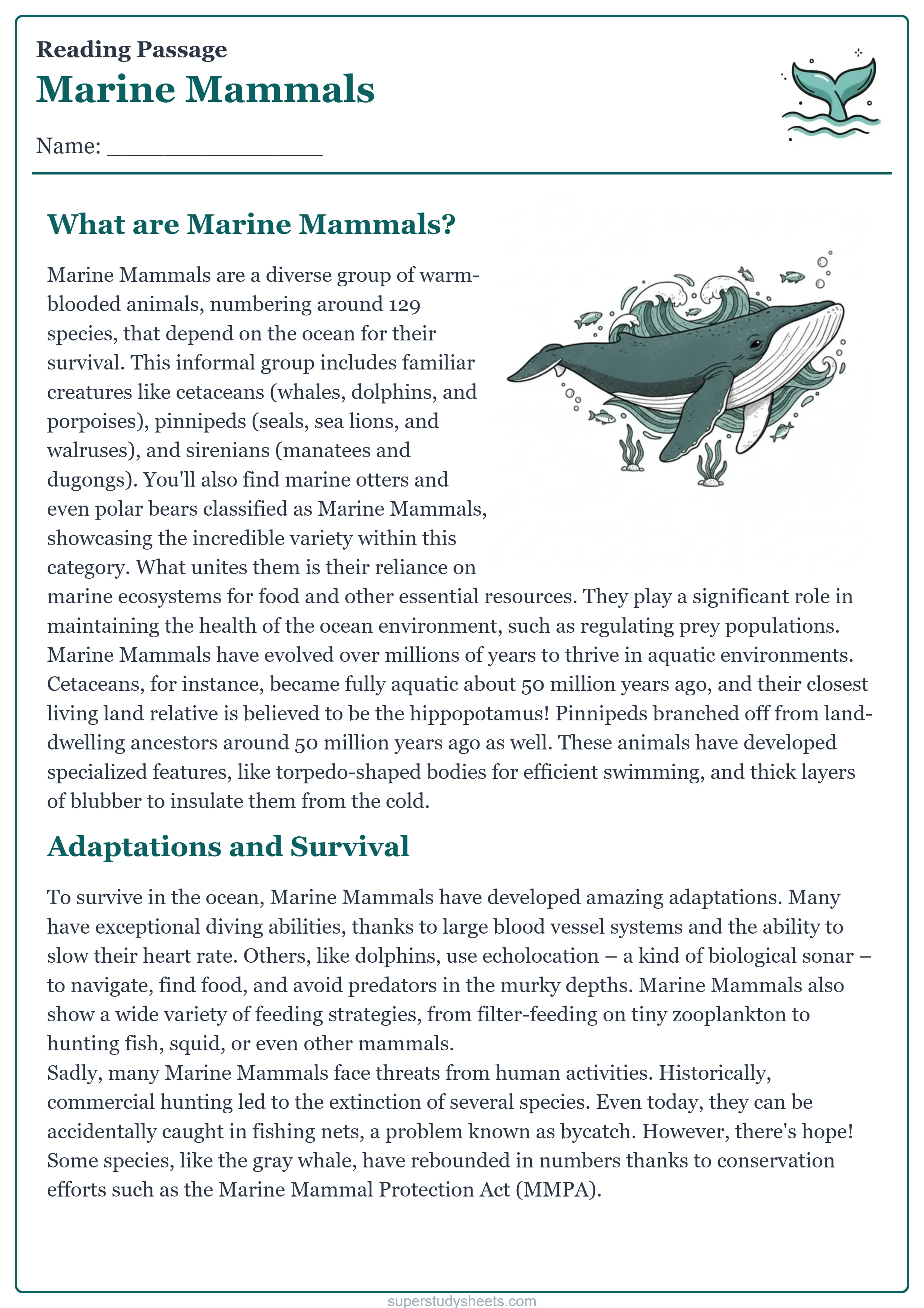 Printable Marine Mammals reading worksheet – Challenge level