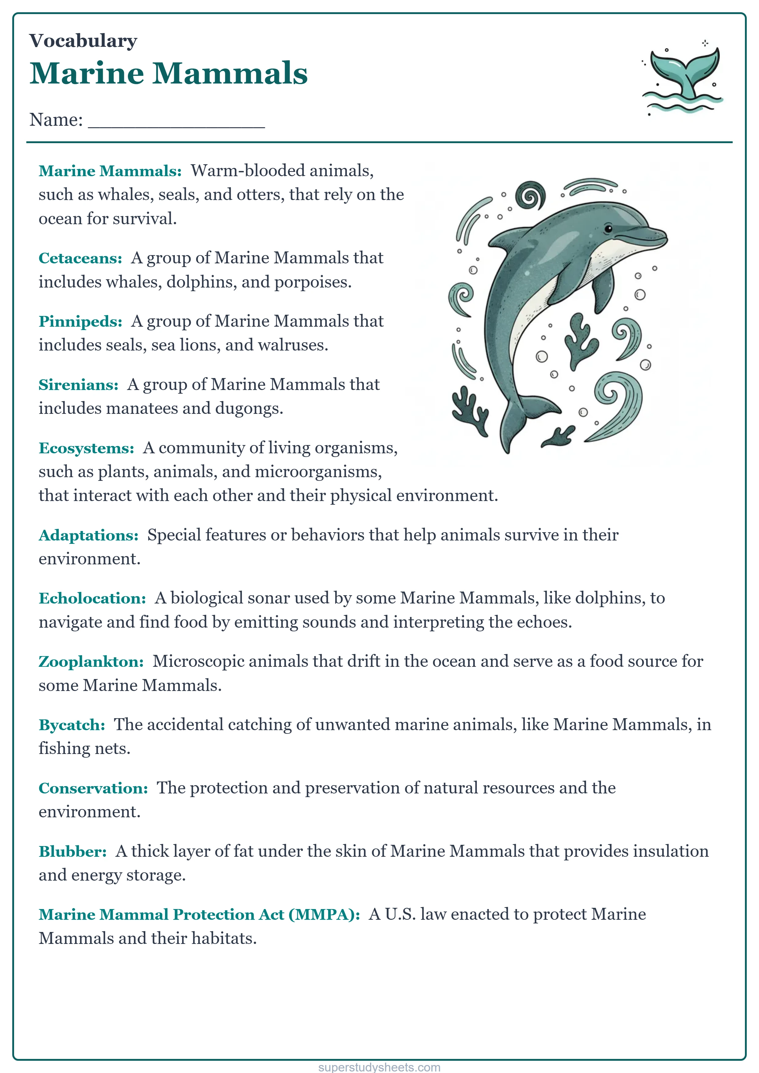 Printable Marine Mammals vocabulary worksheet – Challenge level