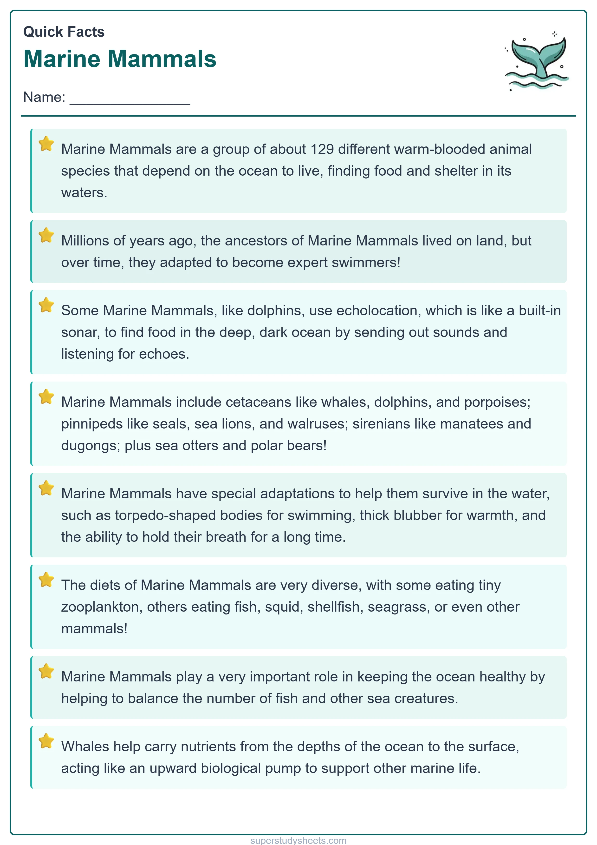 Printable Marine Mammals quick facts worksheet – Explore level