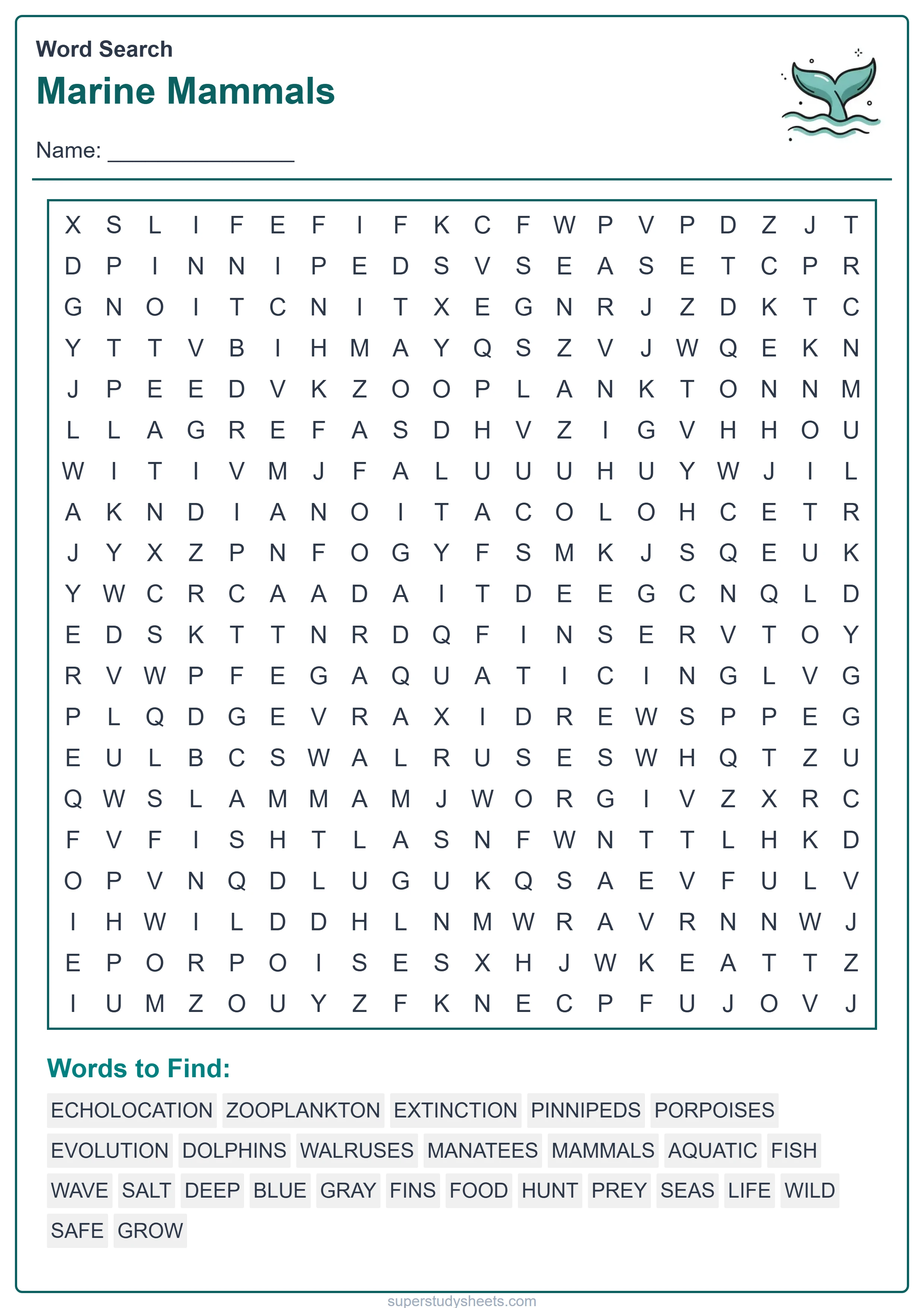 Printable Marine Mammals wordsearch worksheet – Explore level